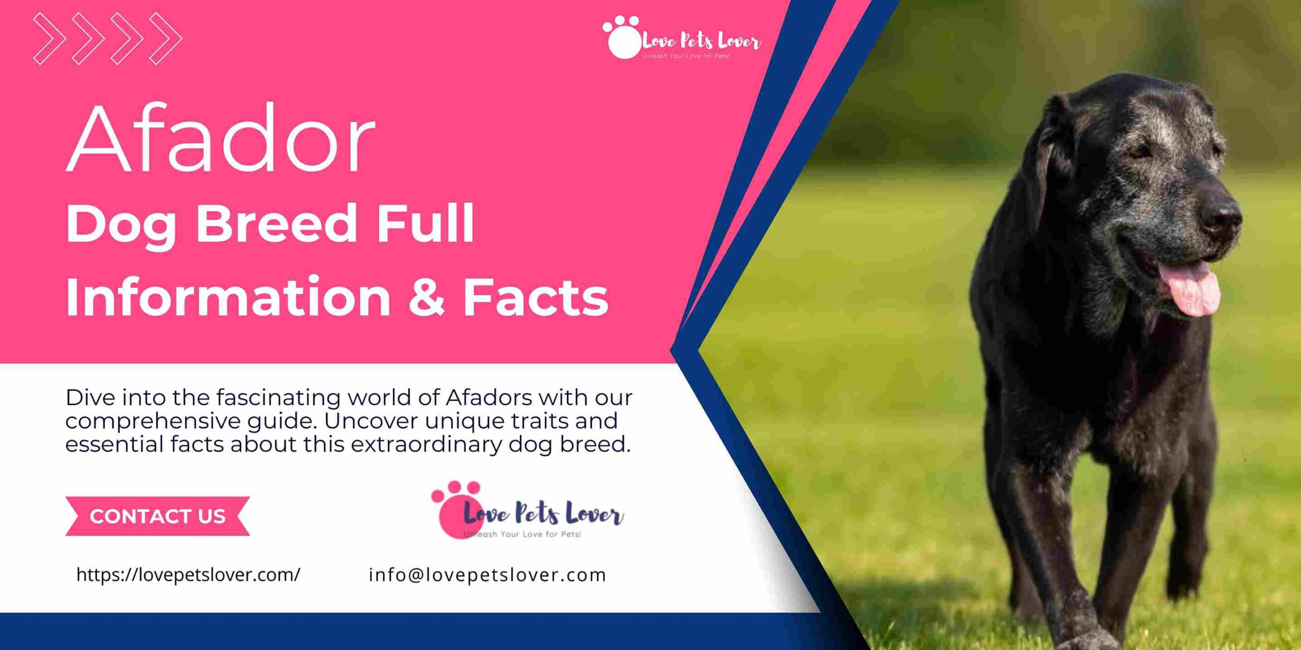 Afador Dog Breed Full Information & Facts